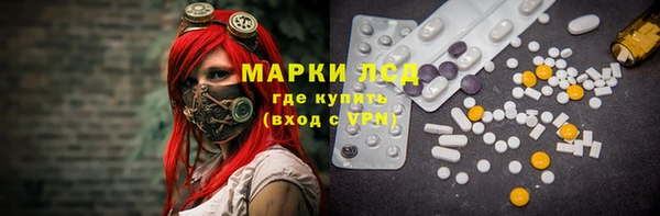 шишки Билибино