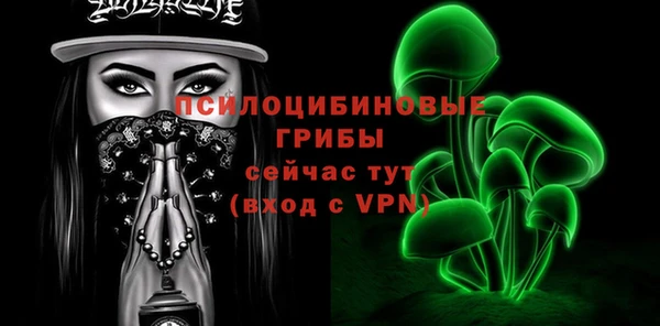 дживик Николаевск-на-Амуре