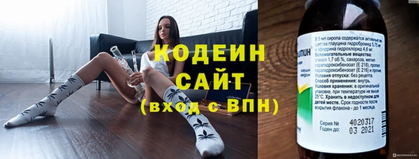 шишки Билибино